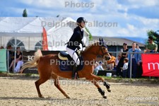 ref. photo 3161513