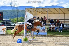 ref. photo 3161514