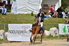 ref. photo 3161516