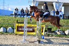 ref. photo 3161584