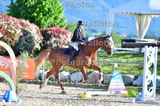 ref. photo 3161589