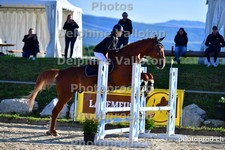 ref. photo 3161590