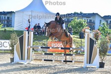 ref. photo 3161594