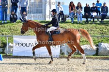 ref. photo 3161600