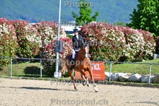 ref. photo 3161607