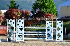 ref. photo 3161647