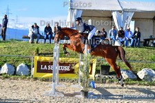 ref. photo 3161660