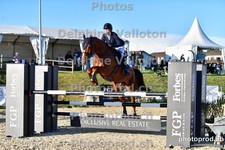 ref. photo 3161663