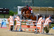 ref. photo 3161664