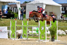 ref. photo 3161680
