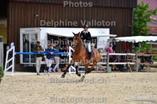 ref. photo 3161693