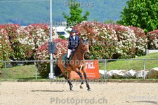ref. photo 3161770