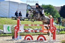 ref. photo 3161808