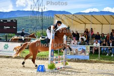ref. photo 3161905