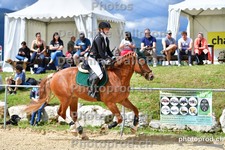 ref. photo 3161907