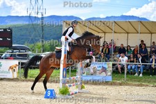 ref. photo 3161993