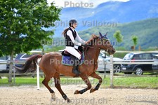 ref. photo 3162037