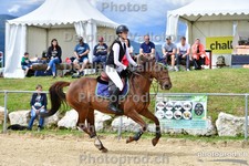ref. photo 3162039
