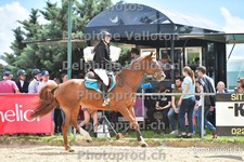 ref. photo 3162058