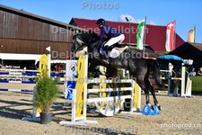 ref. photo 3162141