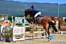 ref. photo 3162156