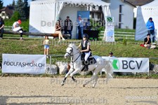 ref. photo 3162211