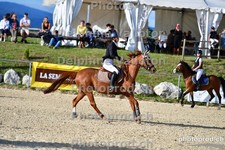 ref. photo 3162229