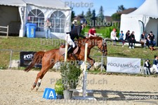 ref. photo 3162230