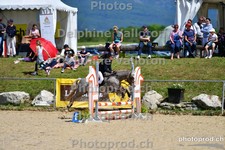 ref. photo 3162279