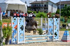 ref. photo 3162280