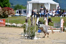 ref. photo 3162281
