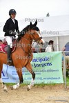 ref. photo 3162358