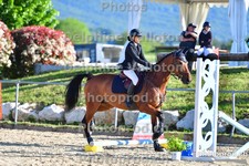 ref. photo 3162423
