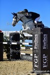 ref. photo 3162488