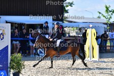 ref. photo 3162498