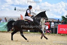 ref. photo 3162534