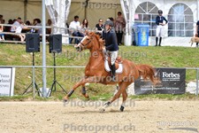 ref. photo 3162601