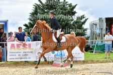 ref. photo 3162602