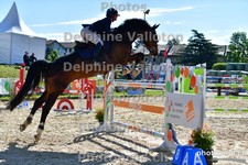 ref. photo 3162607