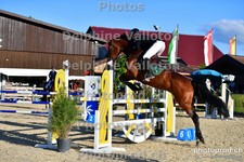 ref. photo 3162890