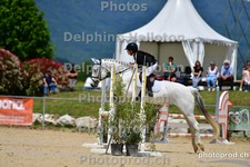 ref. photo 3163005