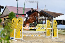ref. photo 3163012