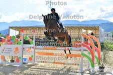 ref. photo 3163026
