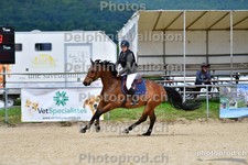 ref. photo 3163038