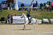 ref. photo 3163081