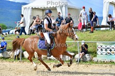 ref. photo 3163127