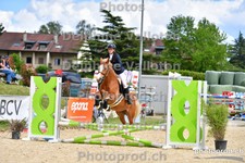 ref. photo 3163138
