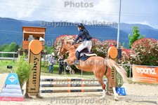 ref. photo 3163139