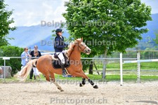 ref. photo 3163142