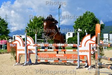 ref. photo 3163165